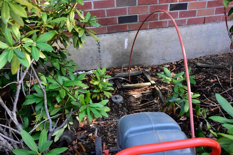 Residential Sewer and Drain Cleaning Burlington, MA, Drain Cleaning